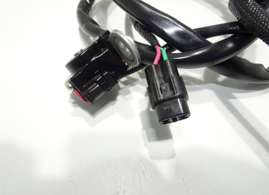 Dynamo Triumph Bonneville T 120