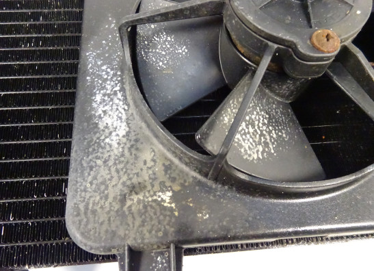 Radiateur Triumph Tiger 1050