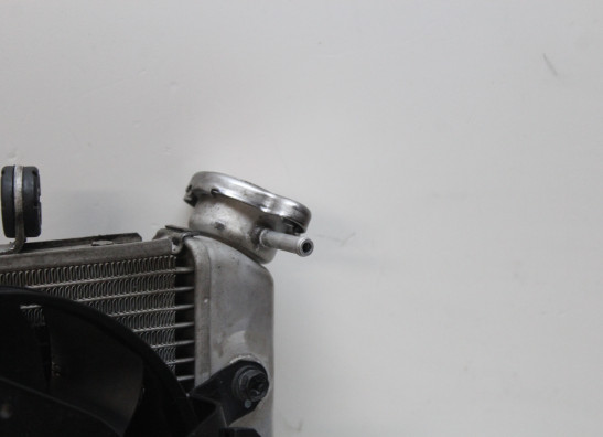 Radiator Suzuki GSX R 1000