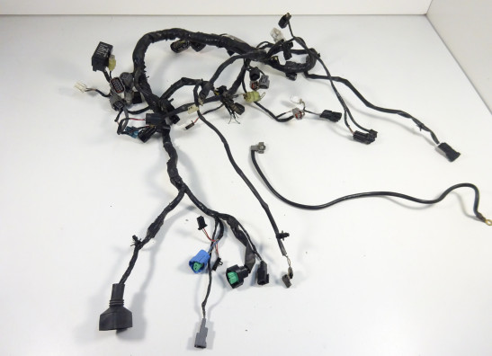 Wire Harness Kawasaki ER 6