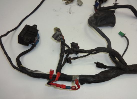 Kabelbaum Yamaha YZF 1000 Thunderace