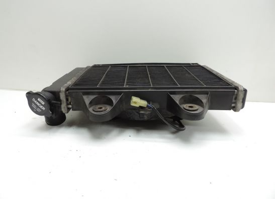 Radiator Triumph Trophy 1200