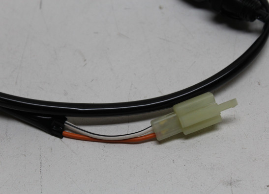 Rucklicht Suzuki DR 650