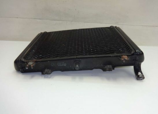 Kuhler Kawasaki GPX 600