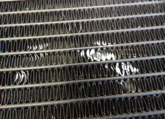 Kuhler Triumph Trophy 900