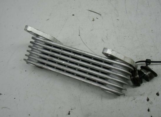 Olkuhler Honda CBR 600 F