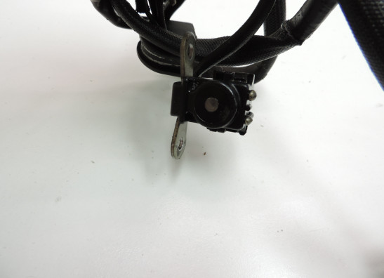 Dynamo Suzuki VX 800