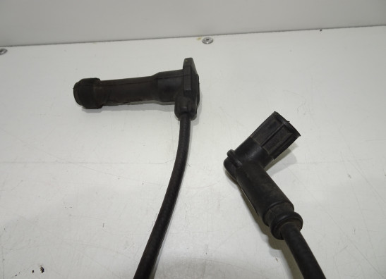 Bobine Ducati Multistrada 1100