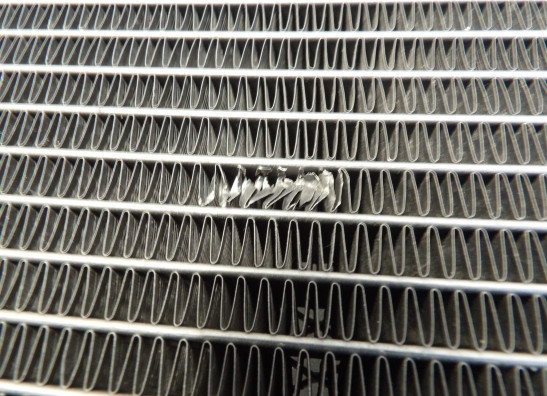 Radiateur Yamaha TDM