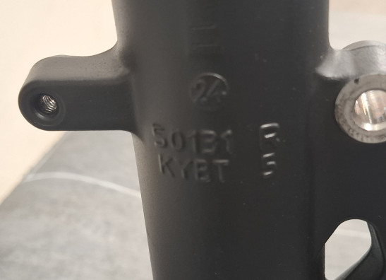 Voorpoten compleet Kawasaki Ninja 650