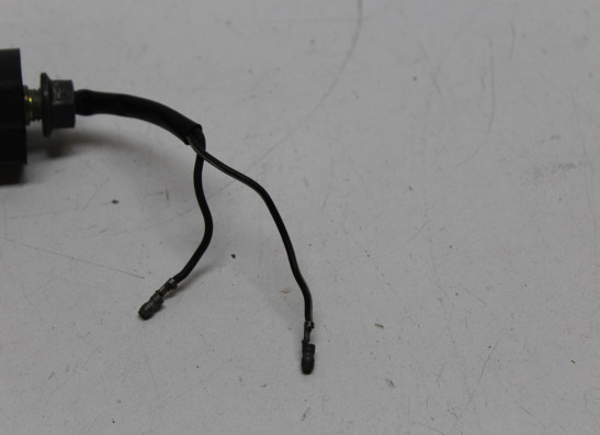 Knipperlicht Suzuki GSX R 750 Limited Edition 