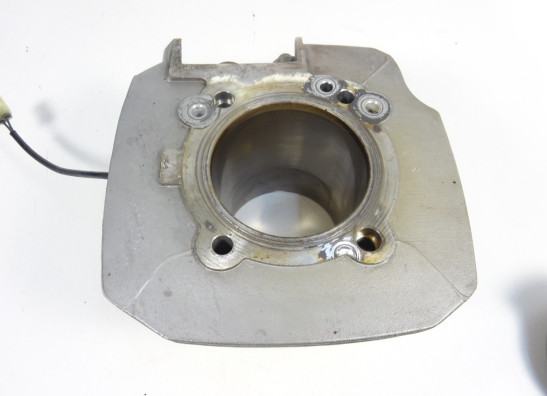 Cylinders Ducati monster 696