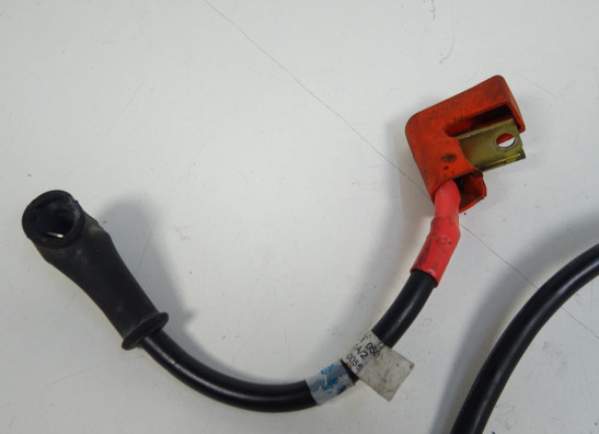 Accu Ducati monster 696