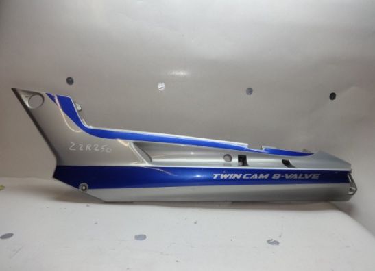 Heck links Kawasaki ZZR 250