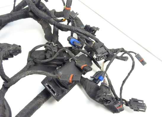 Kabelboom BMW K 1200 S 