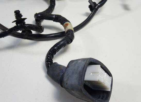 Wire Harness Kawasaki ER 6