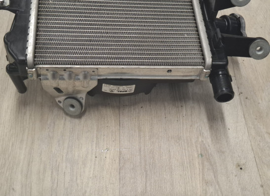 Radiateur BMW R 1200 GS LC Adventure