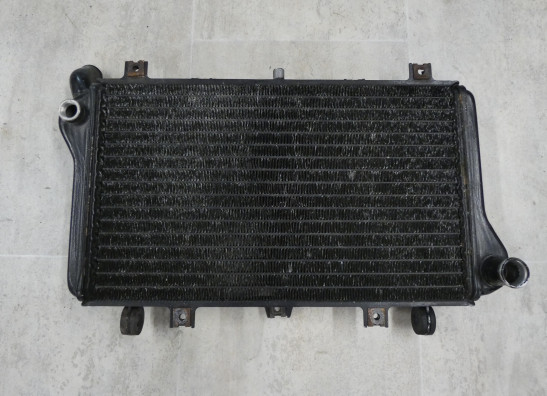 Kuhler Kawasaki ZXR 750