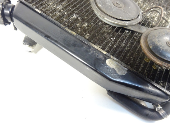 Kuhler Kawasaki ZX 12 R