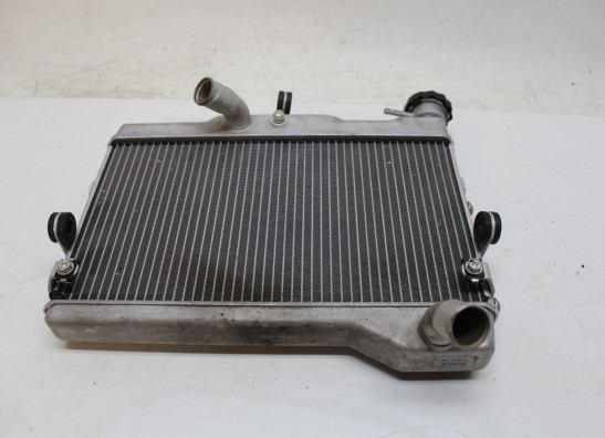 Radiateur Yamaha XSR 700