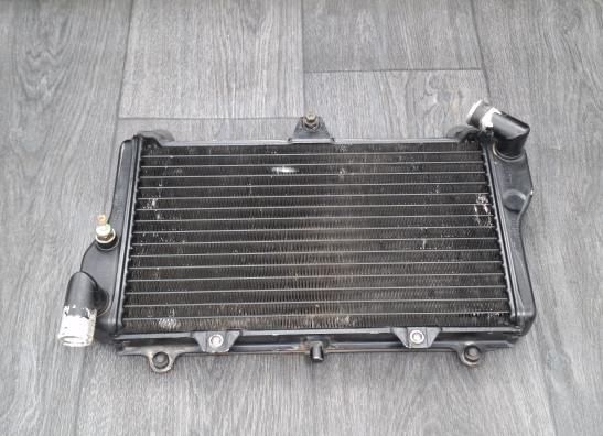 Radiator Kawasaki GPZ 900