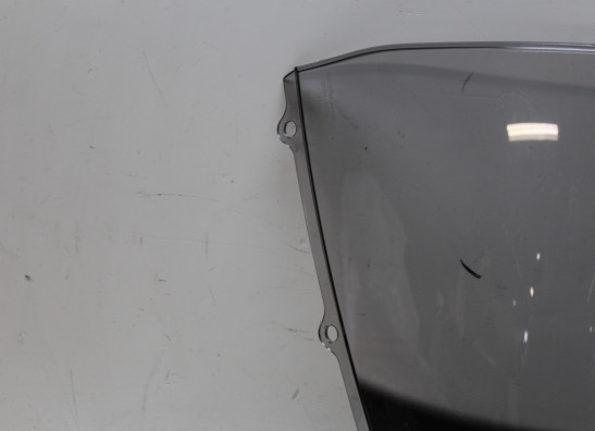 Scheibe Windschild Kawasaki ZZR 1400