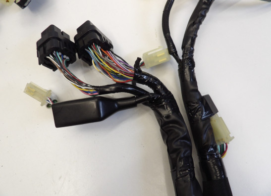 Wire Harness Kawasaki ZX 10 R