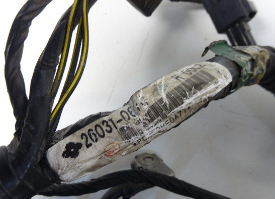 Kabelbaum Kawasaki ER 6