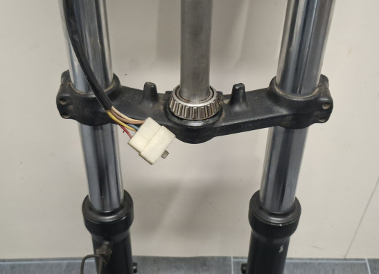 Voorpoten compleet Kawasaki ZZR 600