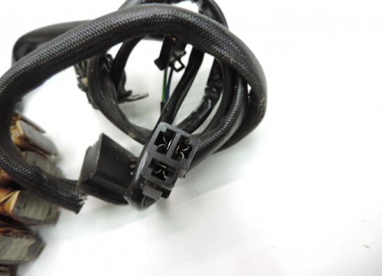 Dynamo Suzuki VX 800