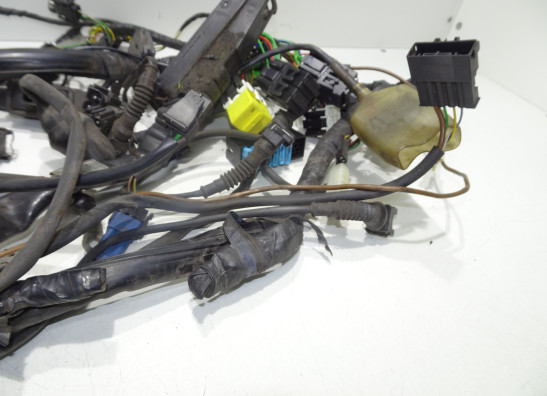 Wire Harness BMW R 1100  1150 RS