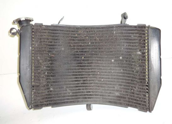 Radiator Yamaha YZF R1