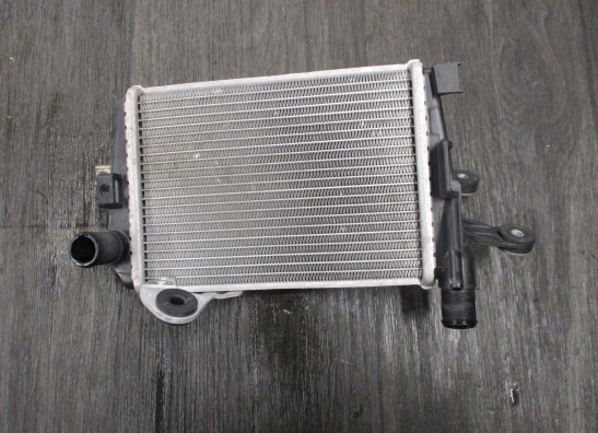 Radiateur BMW R 1250 RT