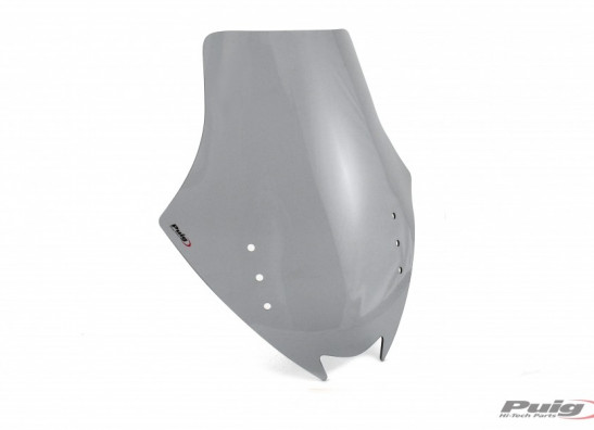 Wind screen Kawasaki GTR 1400