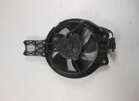 Fan KTM 790 Duke