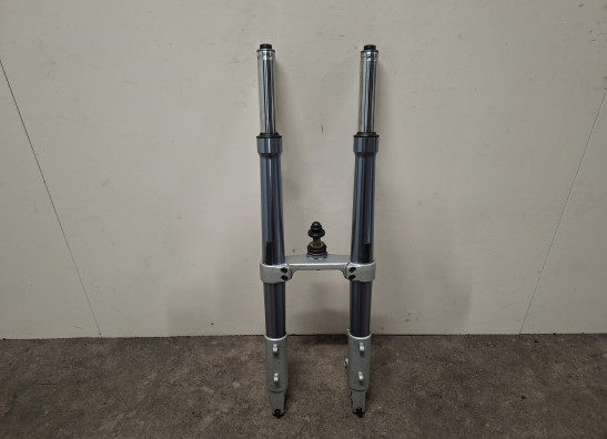 Voorpoten compleet BMW R 1100 S