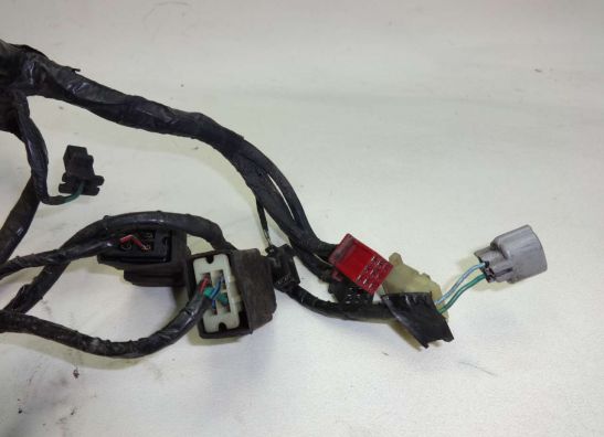 Kabelboom Honda ST 1100 Pan European