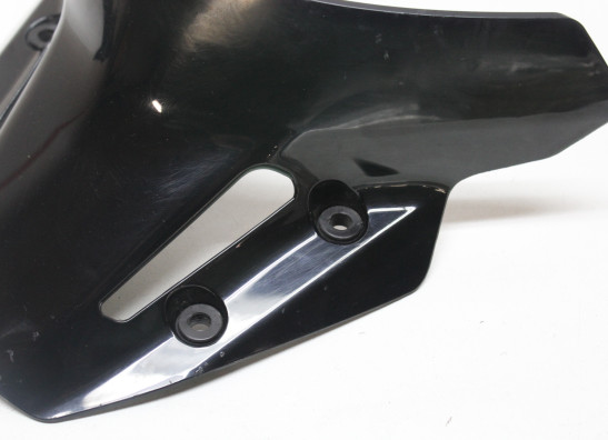 Scheibe Windschild Yamaha MT 09