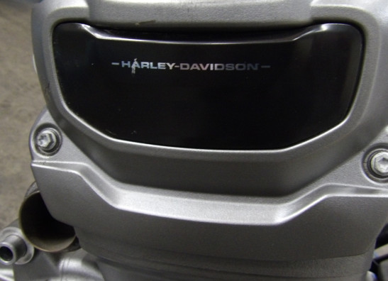 Motorblok Harley Davidson Pan America