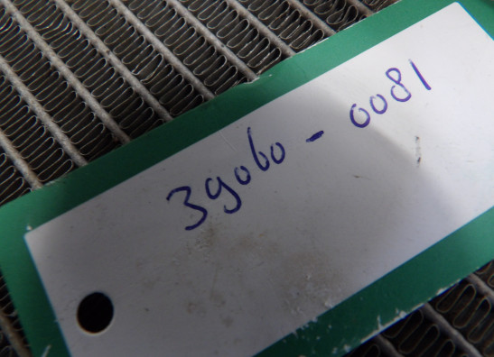 Radiator Kawasaki Z 1000 Sx