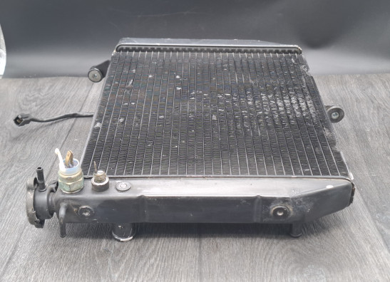 Kuhler Yamaha YZF R1