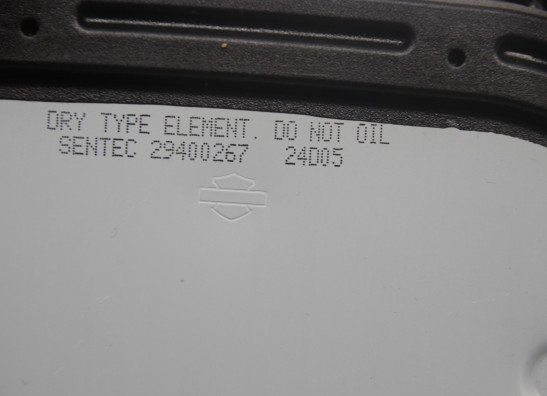 Luchtfilter Harley Davidson Softtail