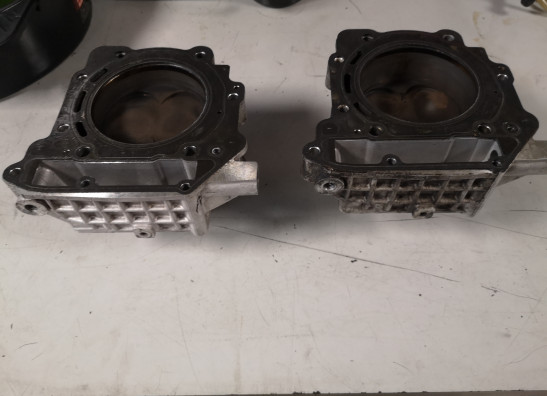 Cylinders Aprilia Tuono 1000