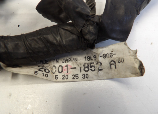 Kabelboom Kawasaki GPX 750