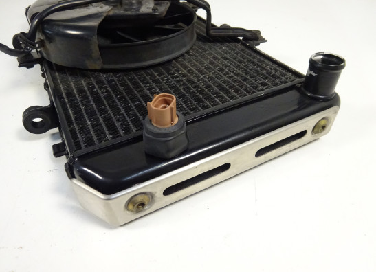 Radiateur Kawasaki Z 750