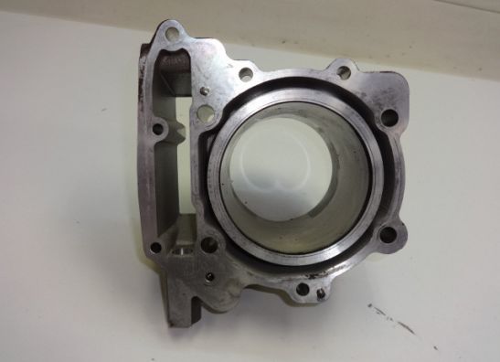 Cilinderblok Aprilia RSV 1000