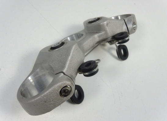 Kroonplaat Ducati monster 696