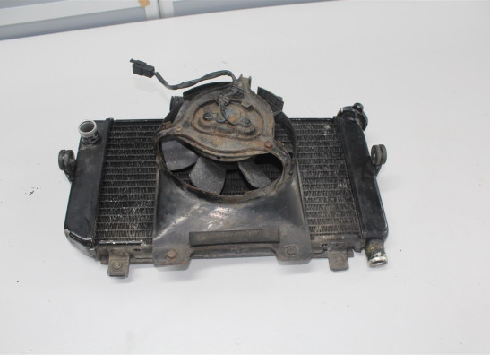Radiateur Yamaha TDM