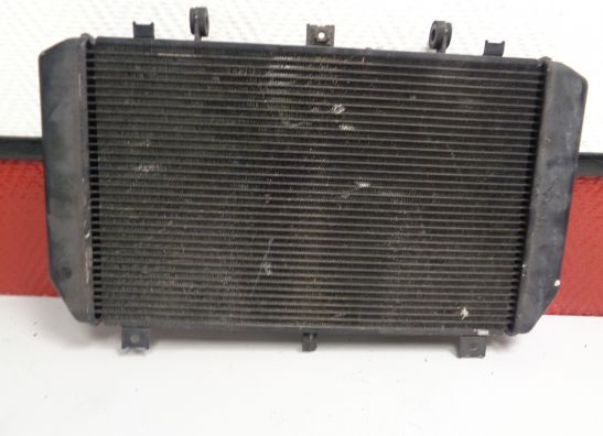 Radiator Kawasaki Z 750