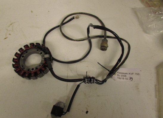 Lichtmaschine Kawasaki Overige Kawasaki